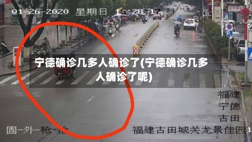 宁德确诊几多人确诊了(宁德确诊几多人确诊了呢)-第2张图片
