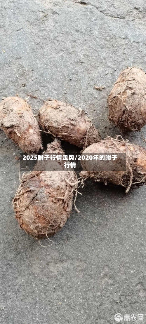 2025附子行情走势/2020年的附子行情
