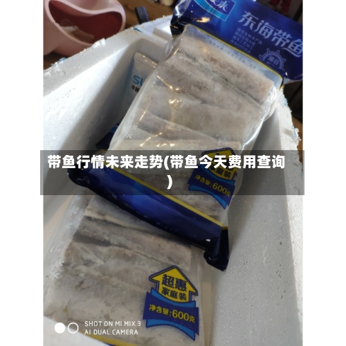 带鱼行情未来走势(带鱼今天费用查询)
