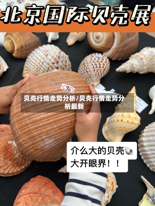 贝壳行情走势分析/贝壳行情走势分析最新-第3张图片