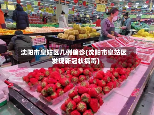 沈阳市皇姑区几例确诊(沈阳市皇姑区发现新冠状病毒)-第2张图片