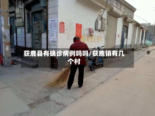 获鹿县有确诊病例吗吗/获鹿镇有几个村-第3张图片