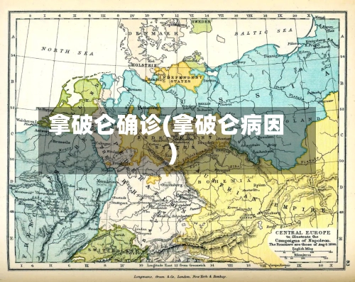 拿破仑确诊(拿破仑病因)-第3张图片