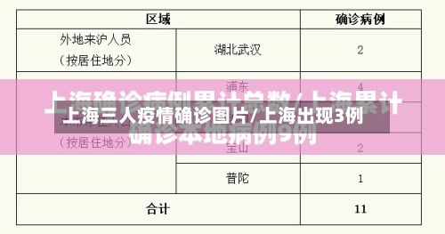 上海三人疫情确诊图片/上海出现3例-第2张图片
