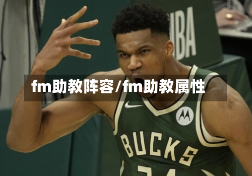 fm助教阵容/fm助教属性