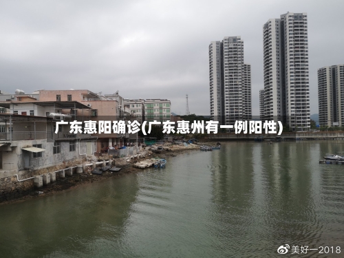 广东惠阳确诊(广东惠州有一例阳性)-第2张图片