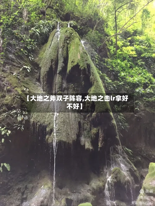 【大地之斧双子阵容,大地之击lr拿好不好】-第3张图片