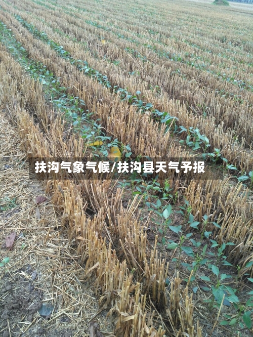 扶沟气象气候/扶沟县天气予报-第2张图片