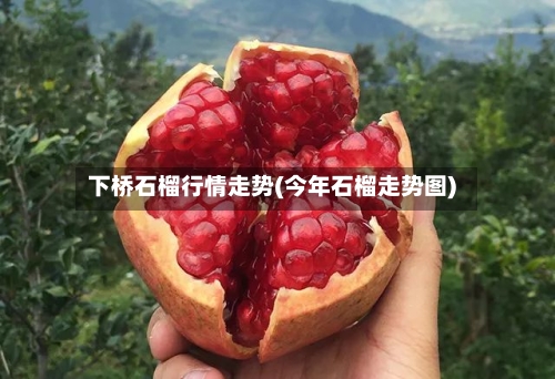 下桥石榴行情走势(今年石榴走势图)-第2张图片