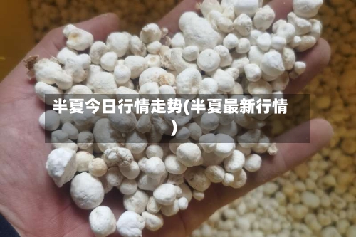 半夏今日行情走势(半夏最新行情)-第3张图片