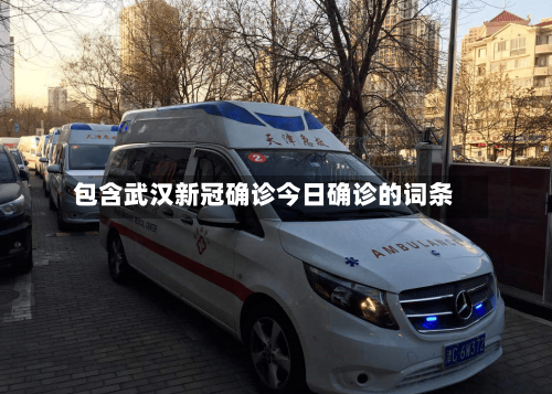 包含武汉新冠确诊今日确诊的词条-第3张图片