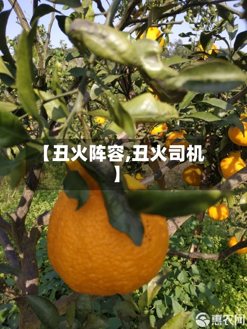 【丑火阵容,丑火司机】-第2张图片