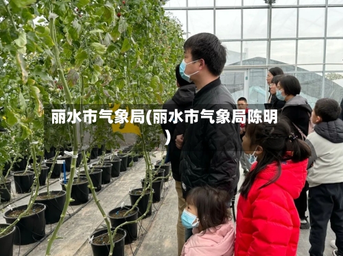 丽水市气象局(丽水市气象局陈明)