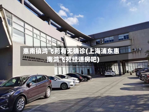 惠南镇鸿飞苑有无确诊(上海浦东惠南鸿飞苑经适房吧)