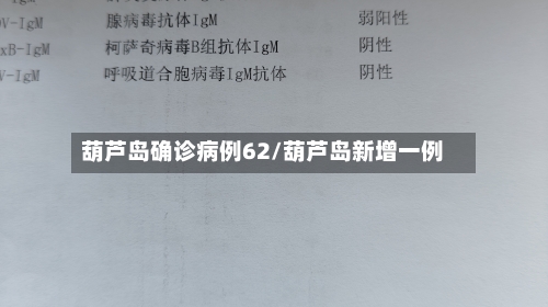 葫芦岛确诊病例62/葫芦岛新增一例-第3张图片