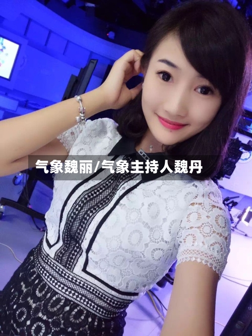 气象魏丽/气象主持人魏丹-第3张图片