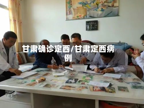 甘肃确诊定西/甘肃定西病例