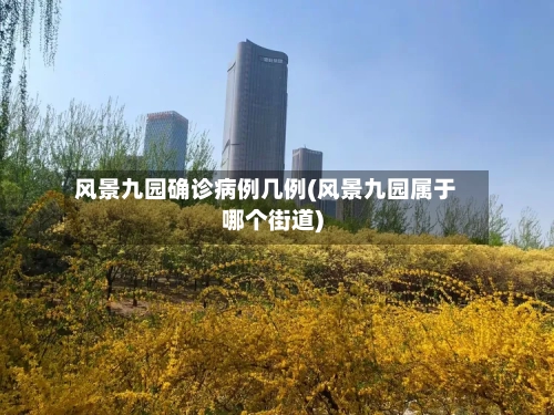风景九园确诊病例几例(风景九园属于哪个街道)