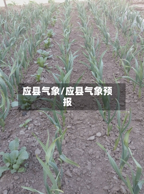应县气象/应县气象预报