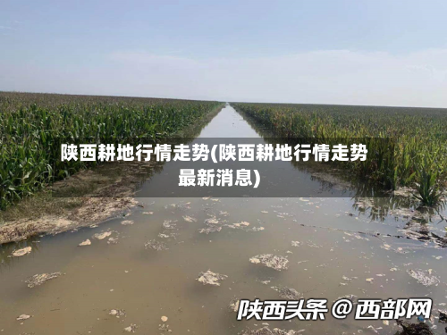陕西耕地行情走势(陕西耕地行情走势最新消息)-第3张图片