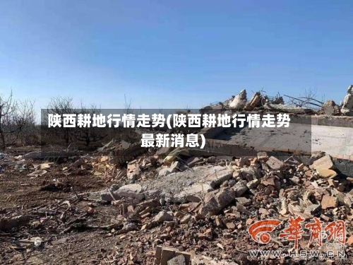 陕西耕地行情走势(陕西耕地行情走势最新消息)-第2张图片