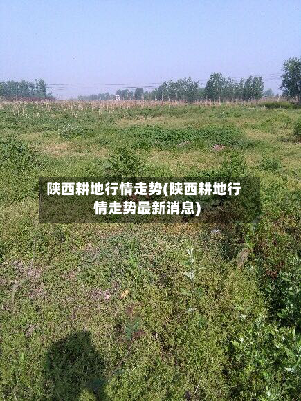陕西耕地行情走势(陕西耕地行情走势最新消息)