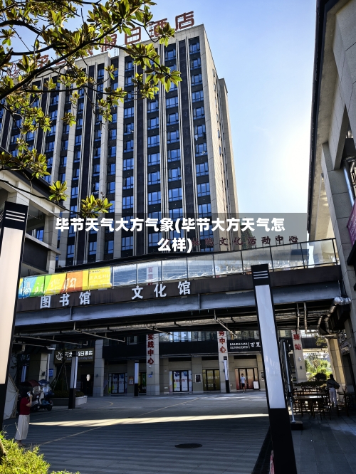 毕节天气大方气象(毕节大方天气怎么样)