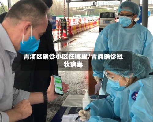 青浦区确诊小区在哪里/青浦确诊冠状病毒-第3张图片