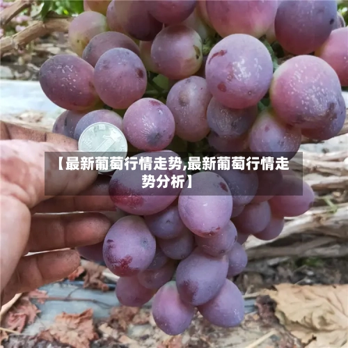 【最新葡萄行情走势,最新葡萄行情走势分析】-第3张图片