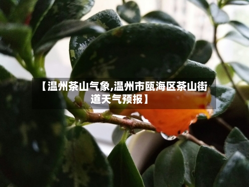 【温州茶山气象,温州市瓯海区茶山街道天气预报】