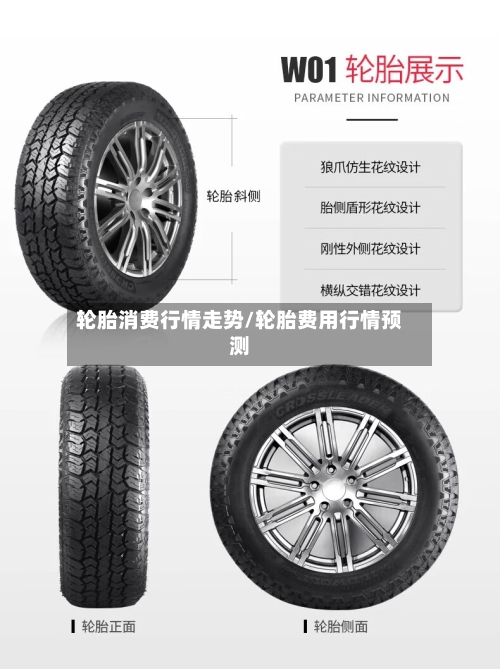 轮胎消费行情走势/轮胎费用行情预测-第2张图片