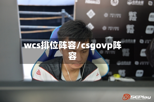 wcs排位阵容/csgovp阵容