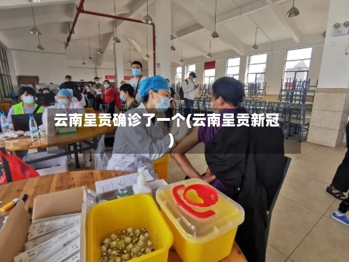 云南呈贡确诊了一个(云南呈贡新冠)-第2张图片