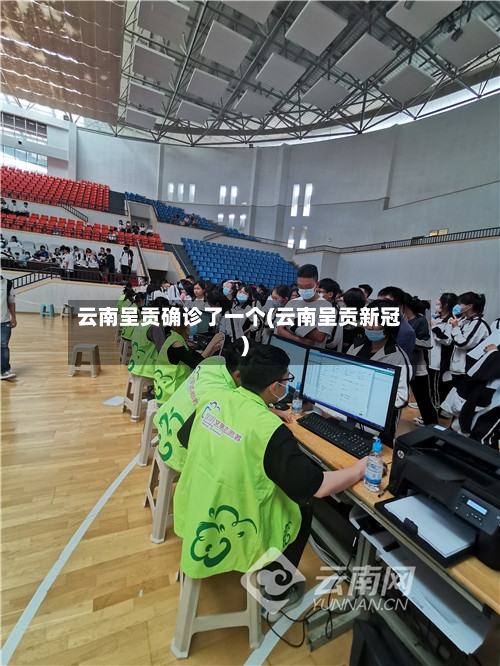 云南呈贡确诊了一个(云南呈贡新冠)-第3张图片