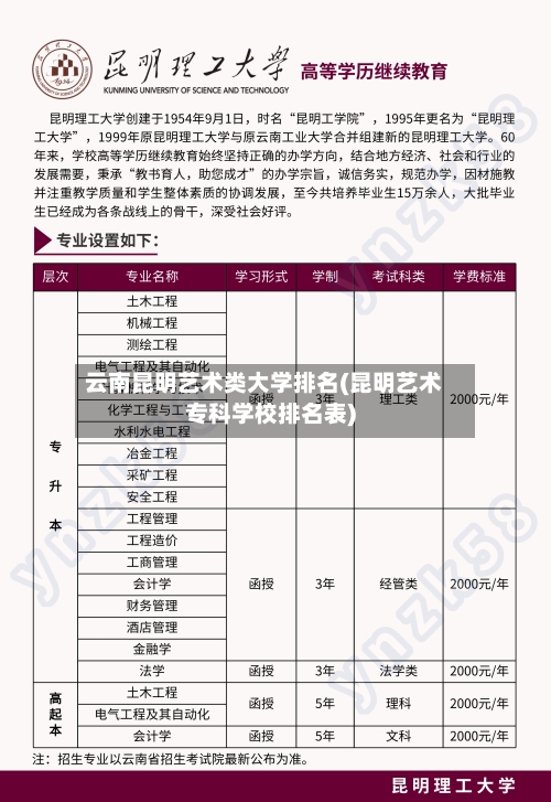 云南昆明艺术类大学排名(昆明艺术专科学校排名表)