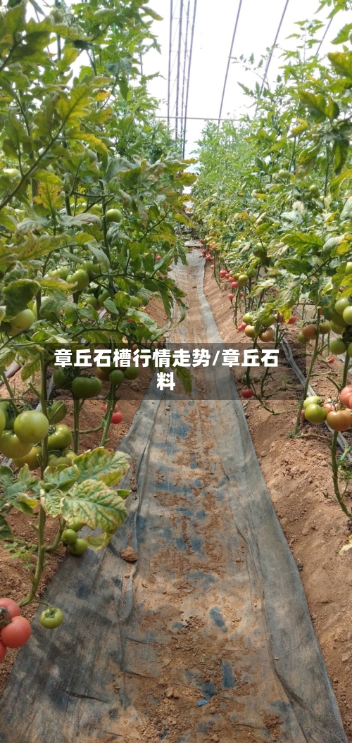 章丘石槽行情走势/章丘石料