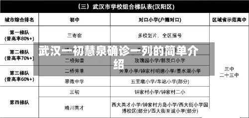 武汉一初慧泉确诊一列的简单介绍