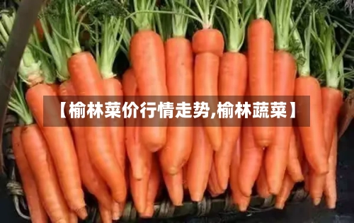 【榆林菜价行情走势,榆林蔬菜】-第2张图片