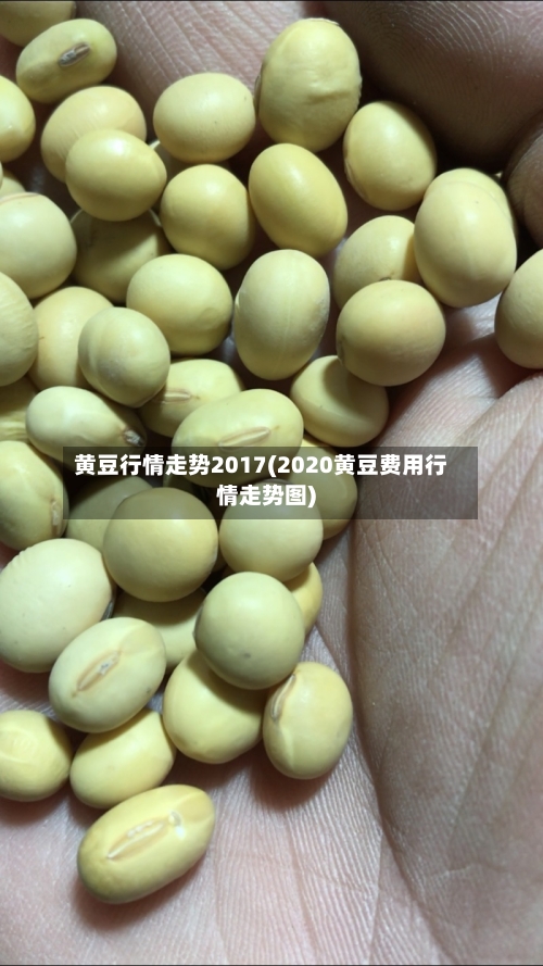 黄豆行情走势2017(2020黄豆费用行情走势图)