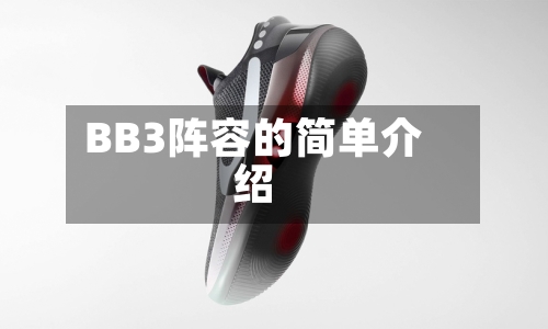 BB3阵容的简单介绍