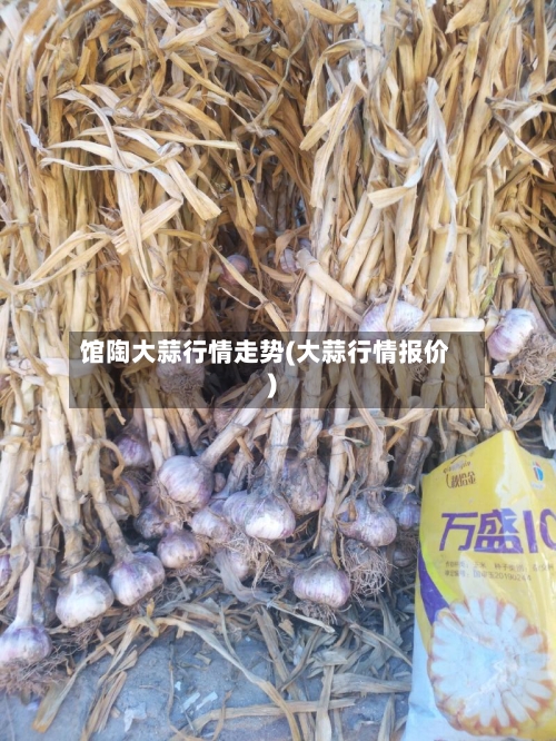 馆陶大蒜行情走势(大蒜行情报价)