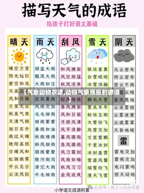 【气象动物农谚,动物气象预报的谚语】-第2张图片
