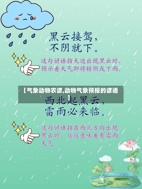 【气象动物农谚,动物气象预报的谚语】-第3张图片