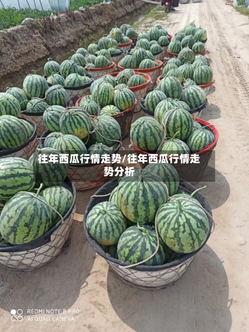 往年西瓜行情走势/往年西瓜行情走势分析