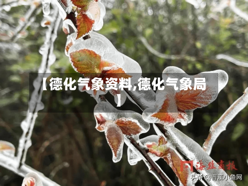 【德化气象资料,德化气象局】