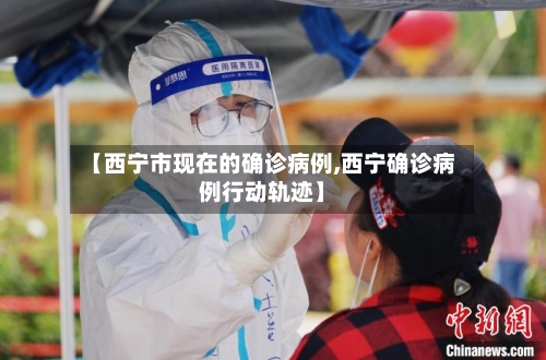 【西宁市现在的确诊病例,西宁确诊病例行动轨迹】