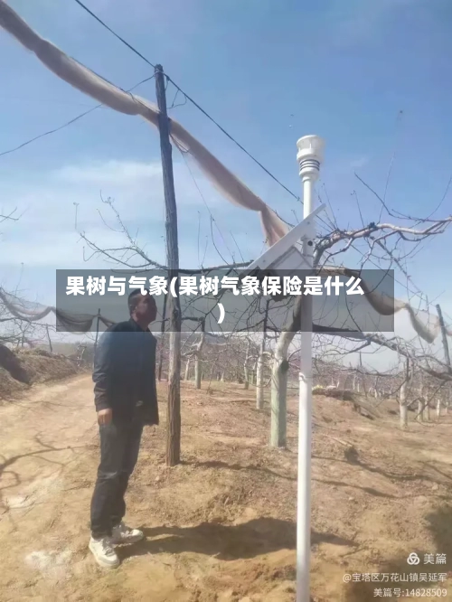 果树与气象(果树气象保险是什么)