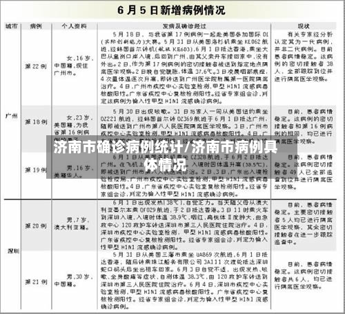 济南市确诊病例统计/济南市病例具体情况-第2张图片