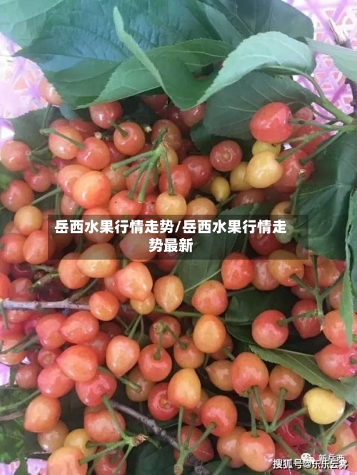 岳西水果行情走势/岳西水果行情走势最新
