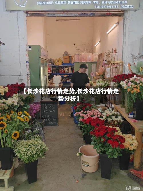 【长沙花店行情走势,长沙花店行情走势分析】-第2张图片
